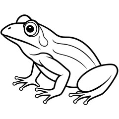 Elegant Frog Outline Illustration