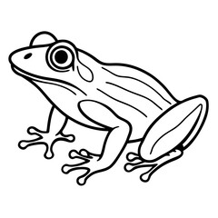 Elegant Frog Outline Illustration