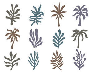 Tropical Hand Drawn Illustration, Tropical Surfing Concept, Vacation and Travel, Palm Tree and Hippie Boho Elements