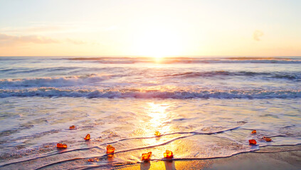 Serene sea waves washing over evening sandy shore with pieces of golden amber glowing in the sunlight. Concept of coastal beauty, travel, wild tourism, summer vacation, and seaside relaxation
