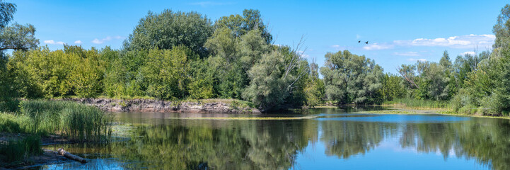 Serene Riverside Reflection
