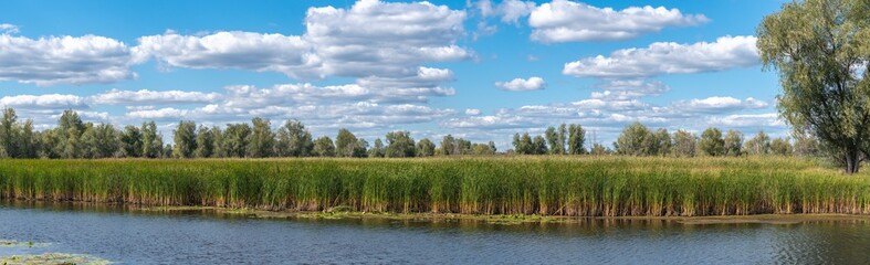 Tranquil Riverside Reflection