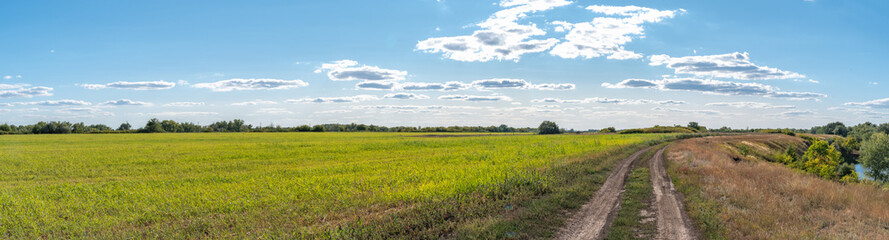 Tranquil Countryside Path