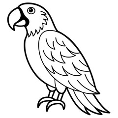 Elegant Macaw Outline Illustration