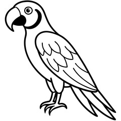Elegant Macaw Outline Illustration