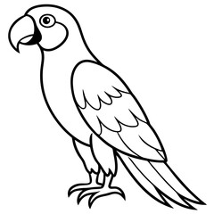 Elegant Macaw Outline Illustration