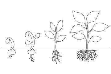 Growth plant online drawing of a plant outline vector art black white background
