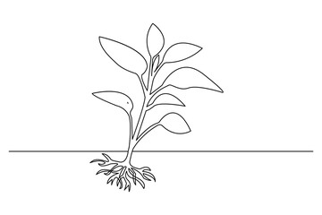 Growth plant online drawing of a plant outline vector art black white background

