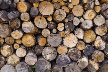 Multiple tree cross sections