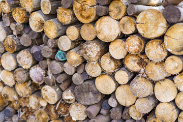 Multiple tree cross sections