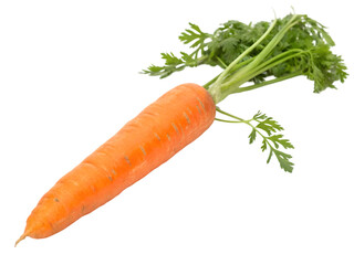 carrots on white background