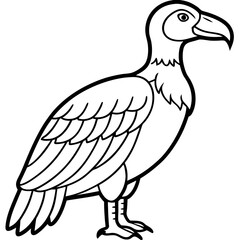 Elegant Vulture Outline Illustration