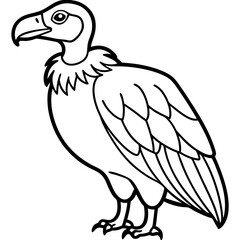 Elegant Vulture Outline Illustration