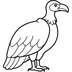 Elegant Vulture Outline Illustration