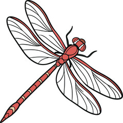 dragonfly