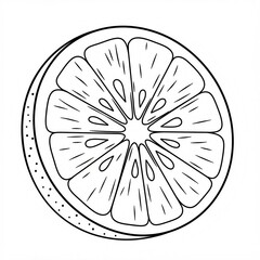 slice of citrus sketch 