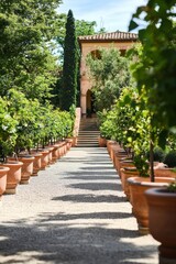 Fototapeta premium Beautiful garden pathway lined with terracotta pots leading to an elegant villa surrounded by lush greenery and tall trees in the afternoon light
