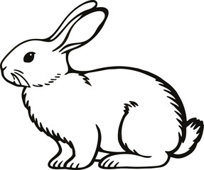 vector illustration of a bunny