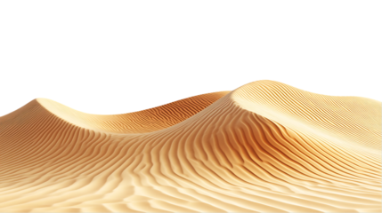 The image showcases a scenic view of golden sand dunes with prominent ripple patterns in an arid desert environment.