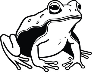 frog on white