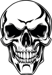 Head Vectors and Their Applications in Physics