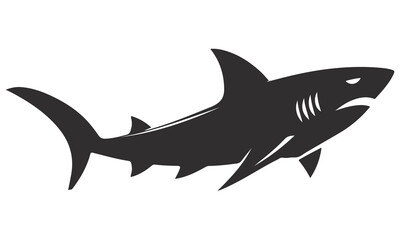 shark vector illustration