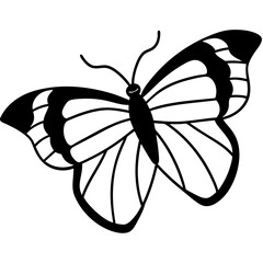 Graceful Sea Butterfly Line Illustration