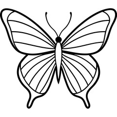 Graceful Sea Butterfly Line Illustration