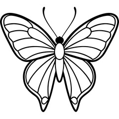 Graceful Sea Butterfly Line Illustration