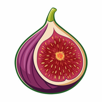 purple fig fruit cut open clip art preview