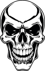 Head Vectors and Their Applications in Physics