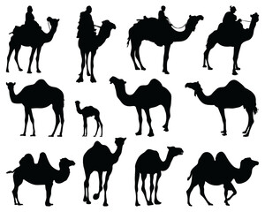 Black silhouettes of camels on a white background