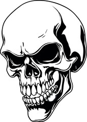 Head Vectors and Their Applications in Physics