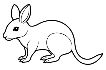 bilby line art silhouette vector illustration