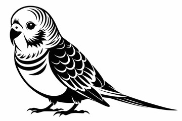 budgerigar budgie line art silhouette vector illustration