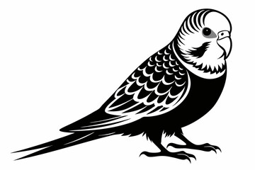 budgerigar budgie line art silhouette vector illustration