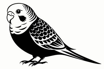 budgerigar budgie line art silhouette vector illustration