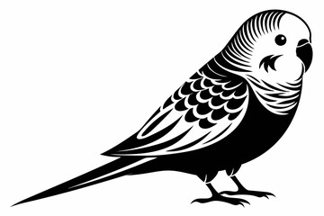 budgerigar budgie line art silhouette vector illustration