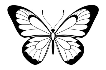 butterfly line art silhouette vector illustration