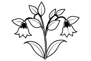 canterbury bells flower line art silhouette vector illustration