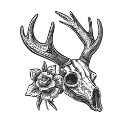 Fototapeta premium Intricate Woodcut Illustration of Deer Skull with Floral Accent