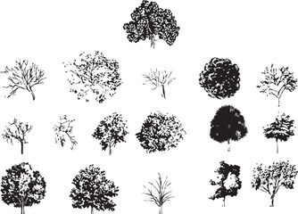 Side view tree line drawing, oak and tropical tree