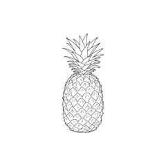 Obraz premium Black and white illustration of a pineapple fruit icon.