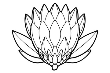 king protea flower line art silhouette vector illustration