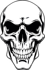 Head Vectors and Their Applications in Physics