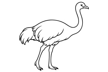 ostrich line art silhouette vector illustration