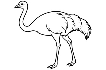 ostrich line art silhouette vector illustration