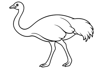 Fototapeta premium ostrich line art silhouette vector illustration