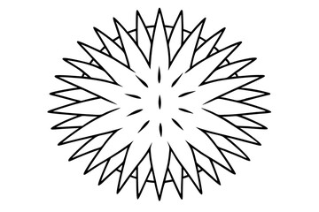 Obraz premium sea urchin line art silhouette vector illustration