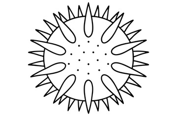 sea urchin line art silhouette vector illustration